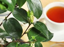 Loose Leaf Tea Collection